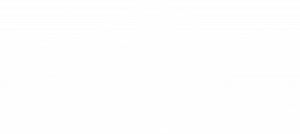 Logo white